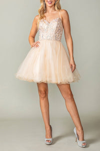8643-62_CHAMPAGNE_4254611