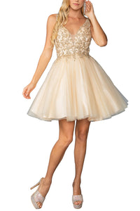 843-0813_CHAMPAGNE_4703373