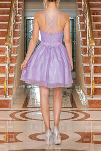 8642-99_LILAC_4246143