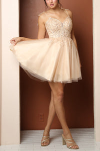 817-4232_CHAMPAGNE_4703792