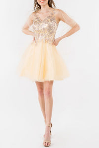 8529-78_CHAMPAGNE_4246090