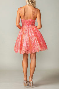 8643-68_CORAL_4254511
