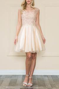 8599-12_CHAMPAGNE_4249191