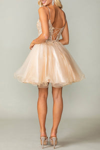 8543-51_CHAMPAGNE_4254668