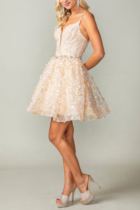 8743-60_CHAMPAGNE_4254629