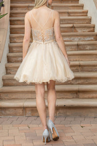 8643-25_CHAMPAGNE_4249860