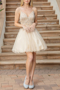 8643-25_CHAMPAGNE_4249854