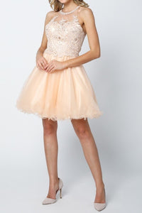 8518-36_CHAMPAGNE_4244530