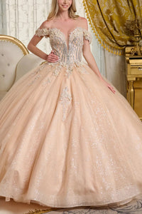 6446-40_CHAMPAGNE_4291225