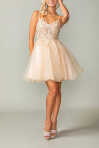 8543-51_CHAMPAGNE_4254667